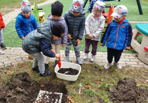 Dzieci sadzą kwiaty w ogrodzie przedszkolnym.